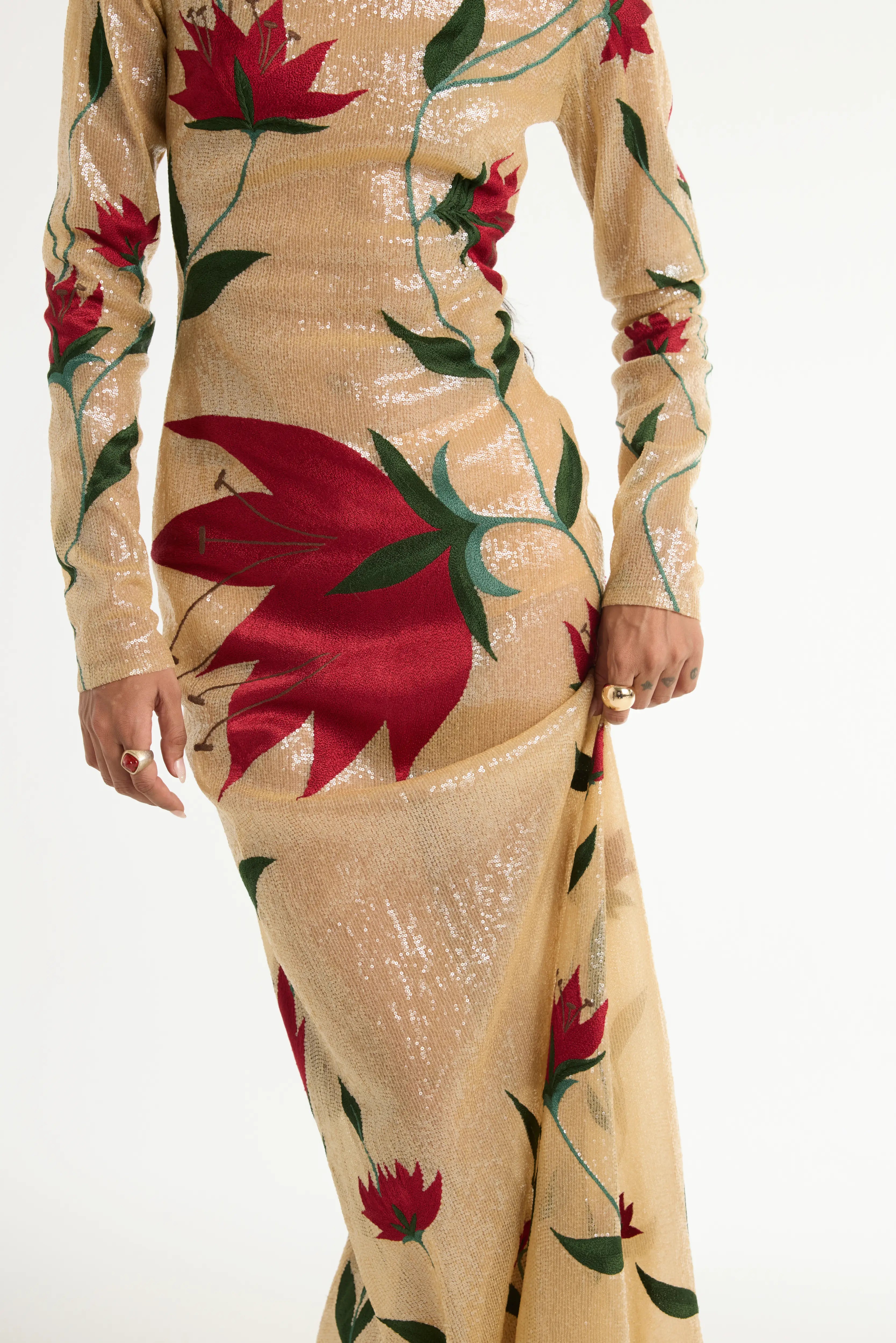 Embroidered Semi-Sheer Gown in Beige