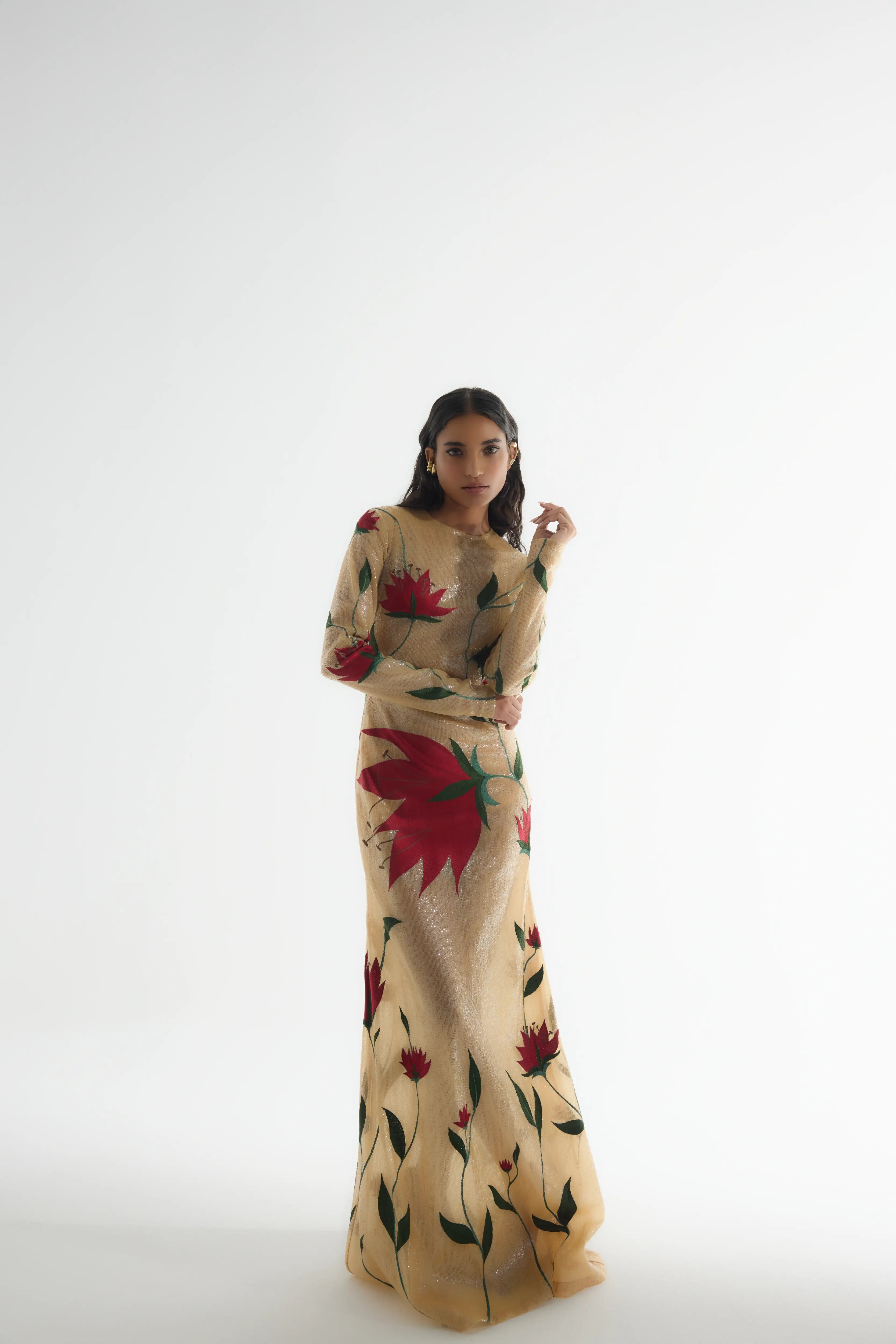 Embroidered Semi-Sheer Gown in Beige