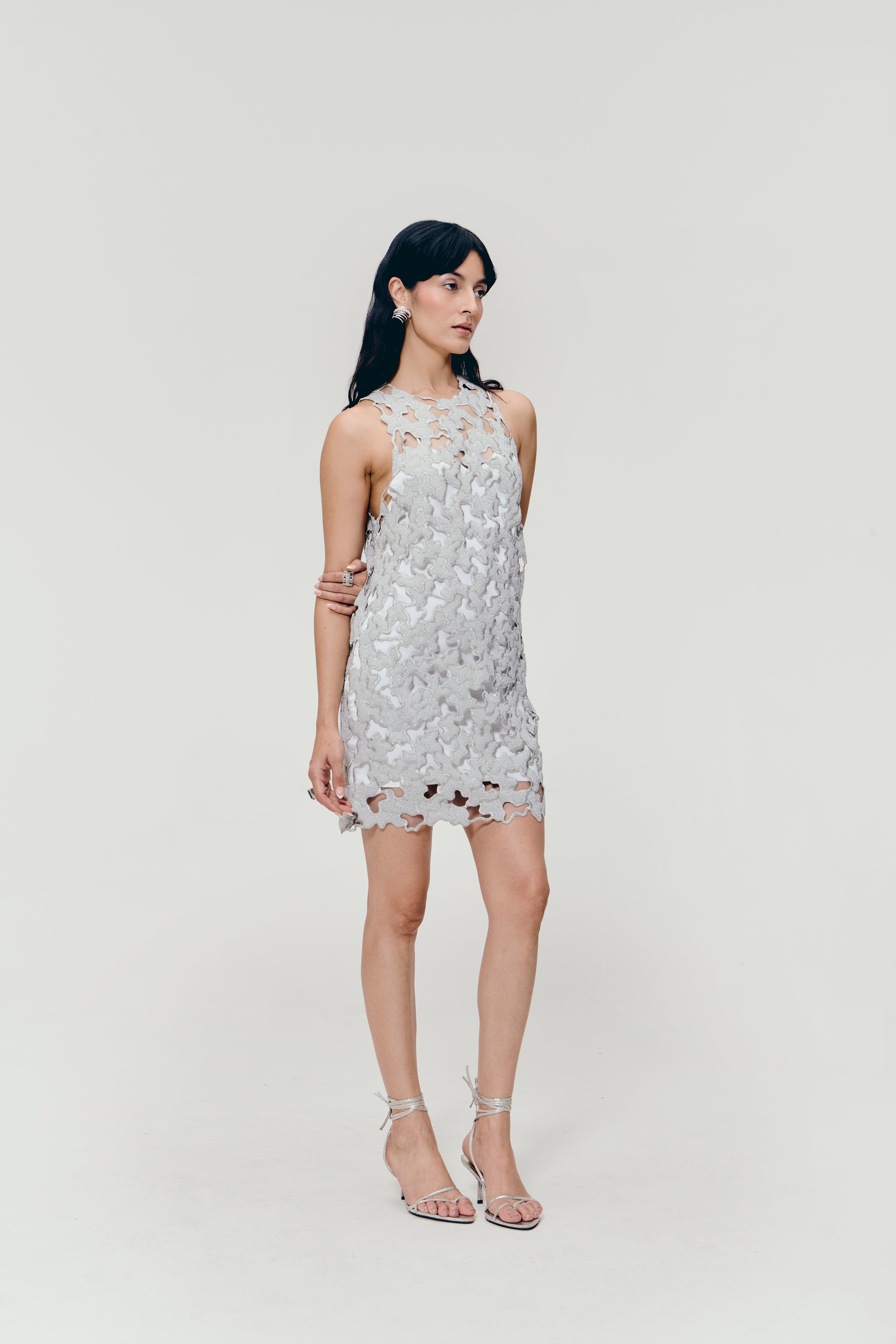 Zari Embroidered Mini Dress in Silver