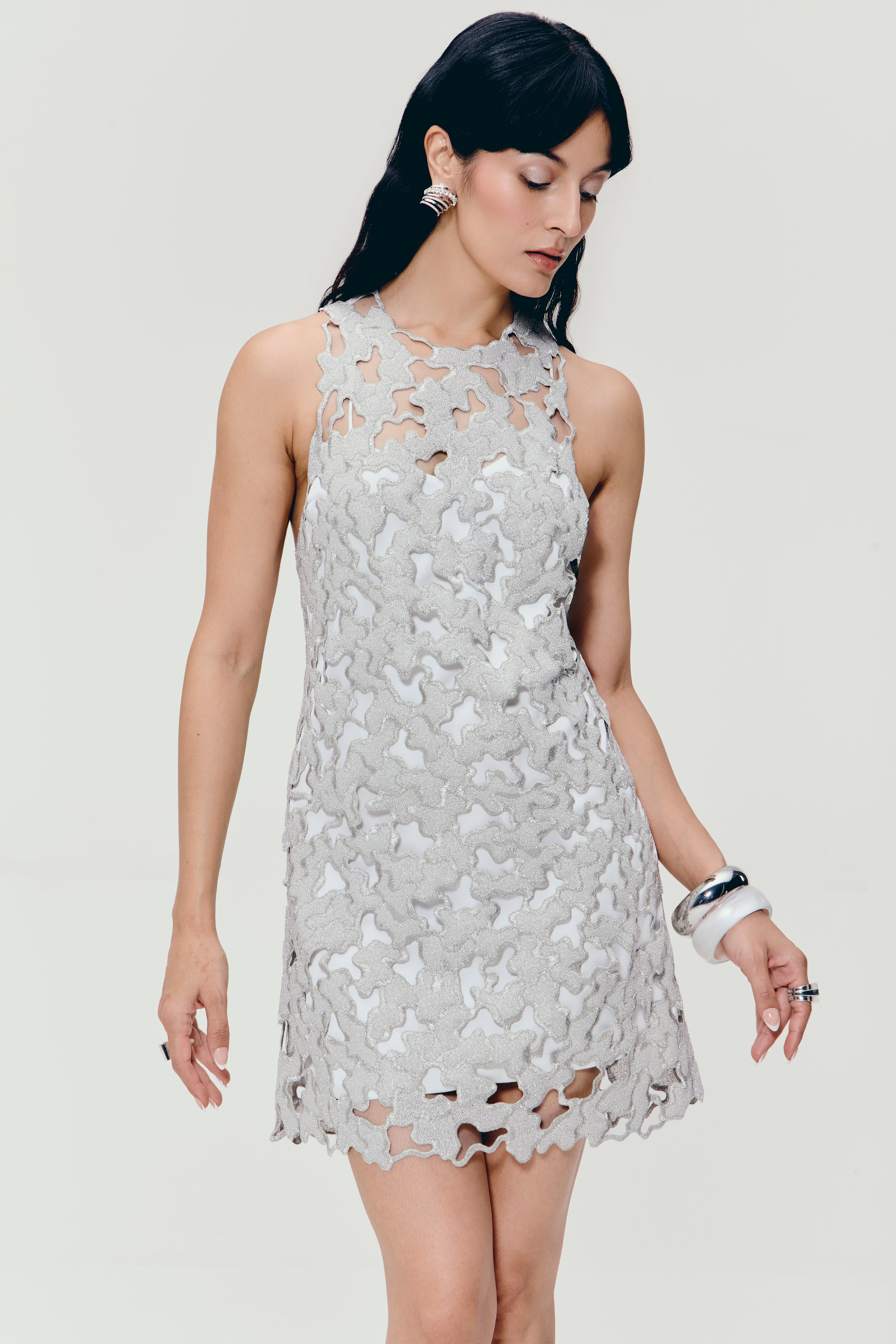 Zari Embroidered Mini Dress in Silver