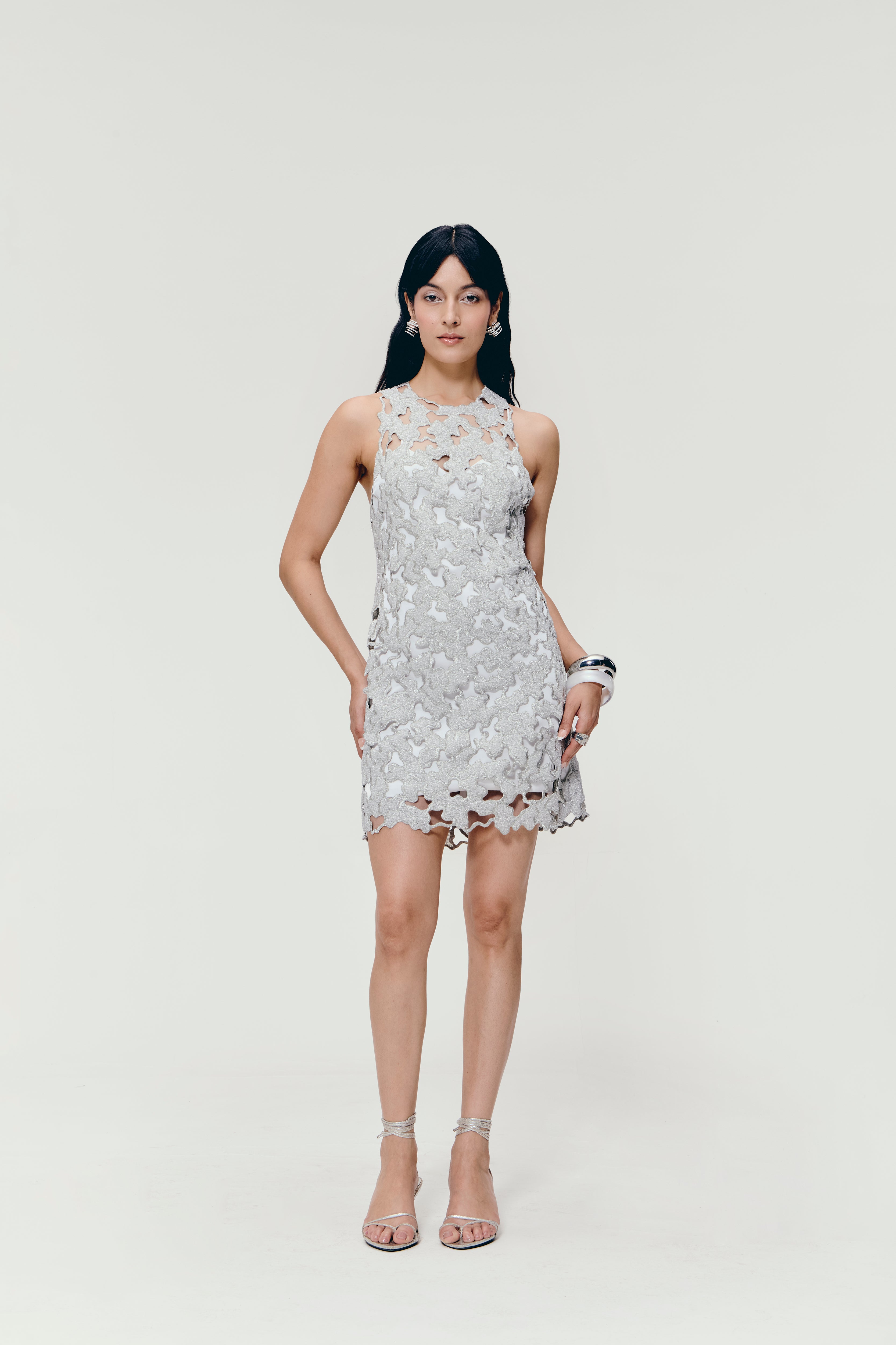Zari Embroidered Mini Dress in Silver