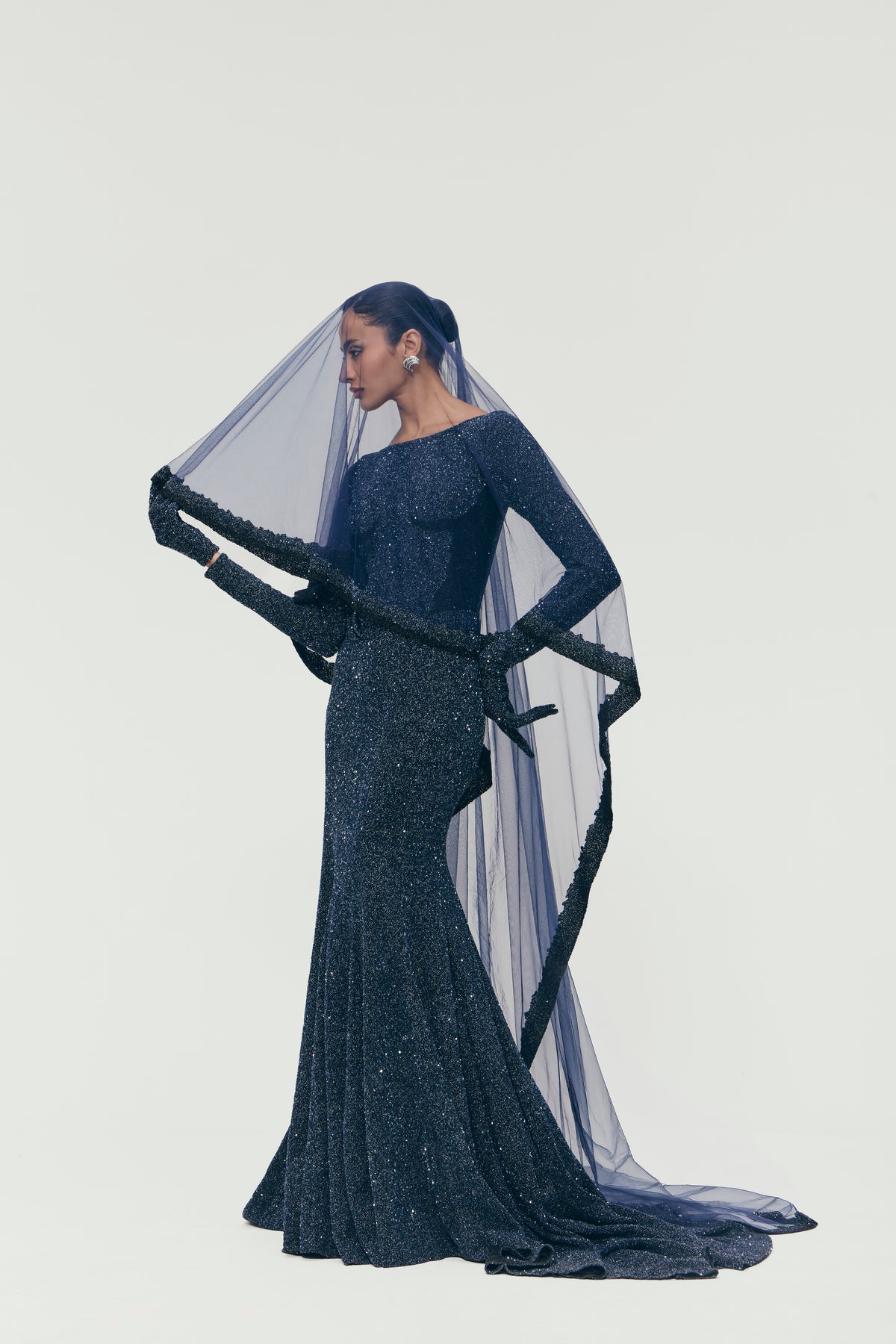 Celestial Embroidered Gown in Blue