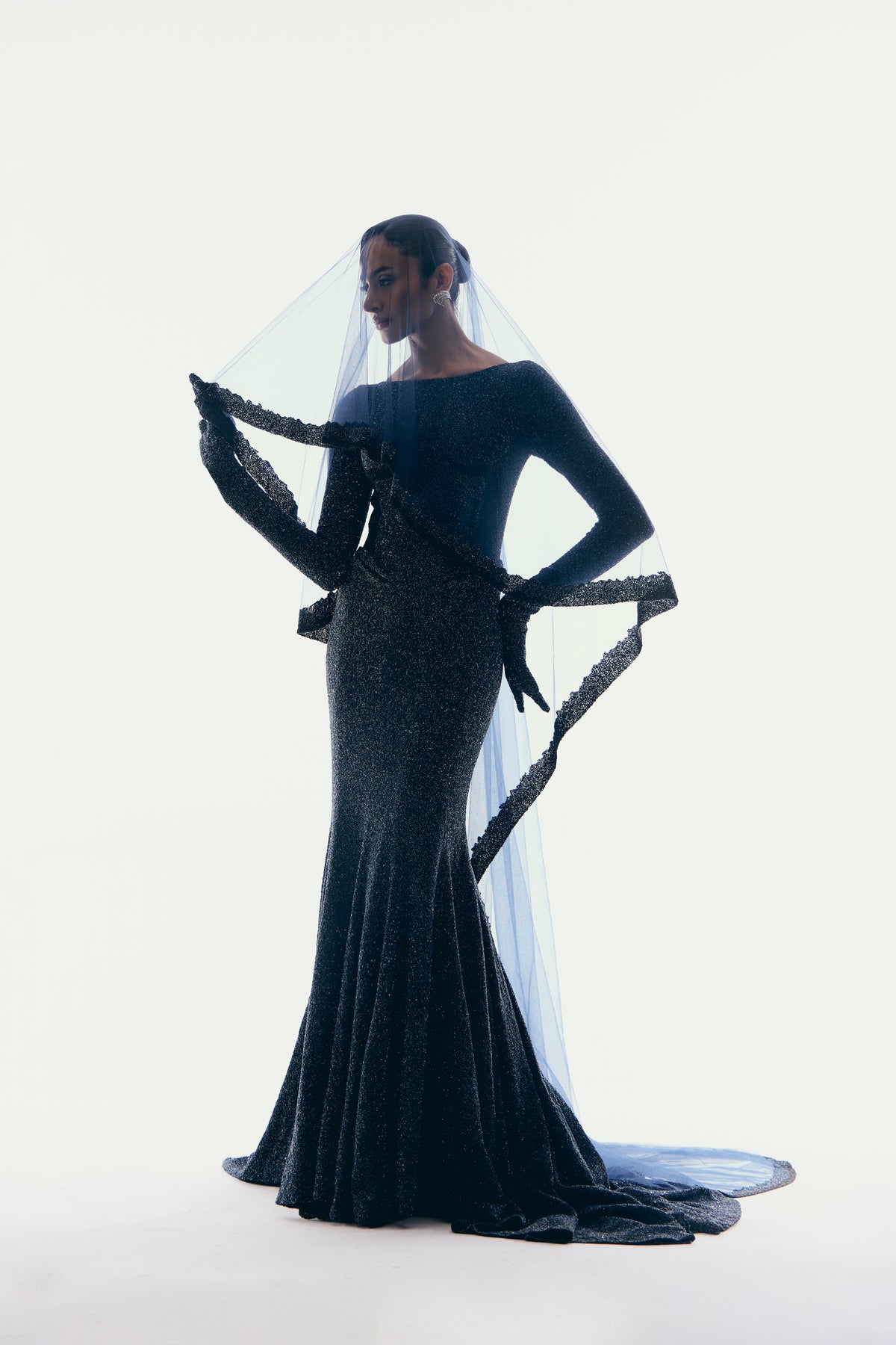 Celestial Embroidered Gown in Blue