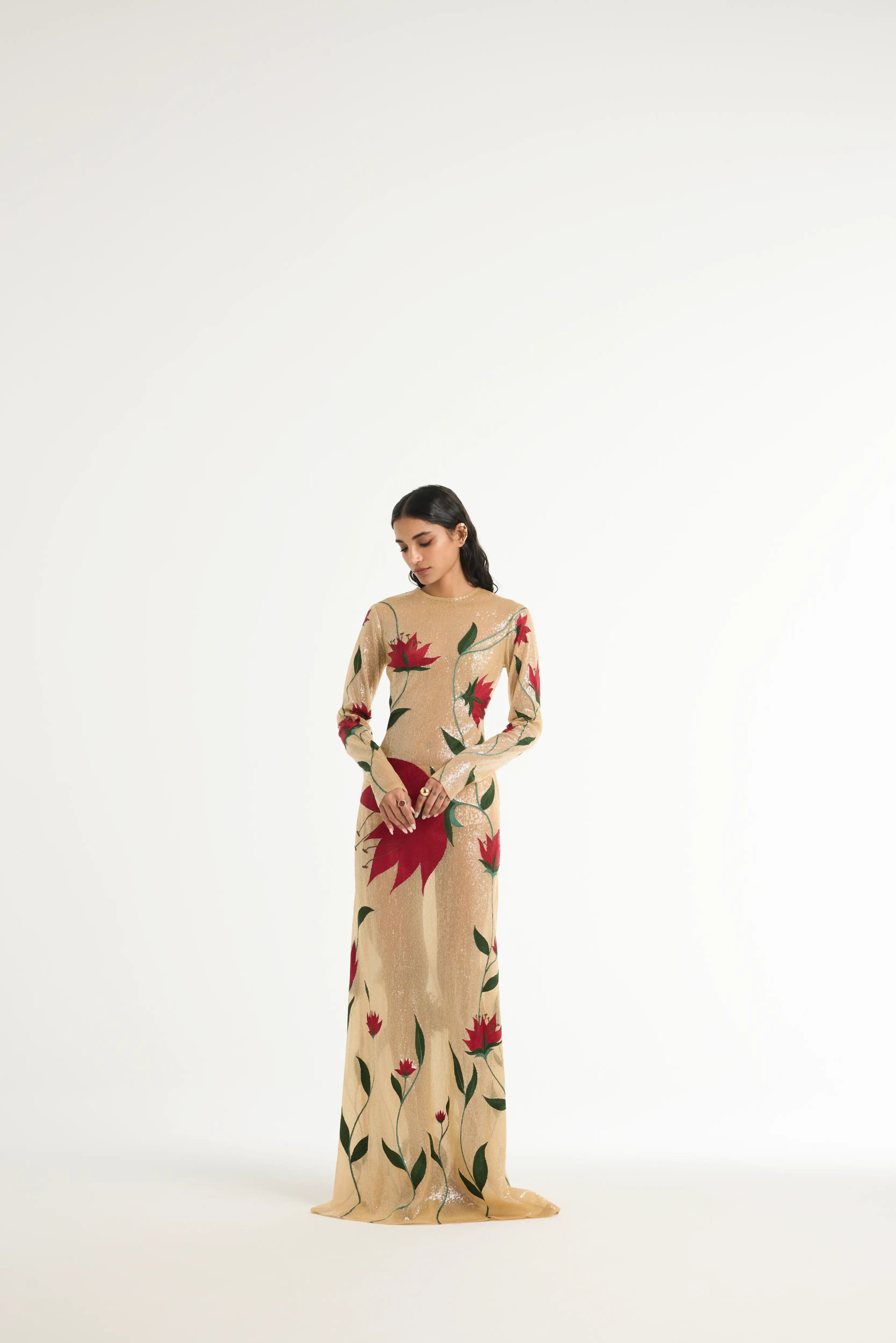 Embroidered Semi-Sheer Gown in Beige