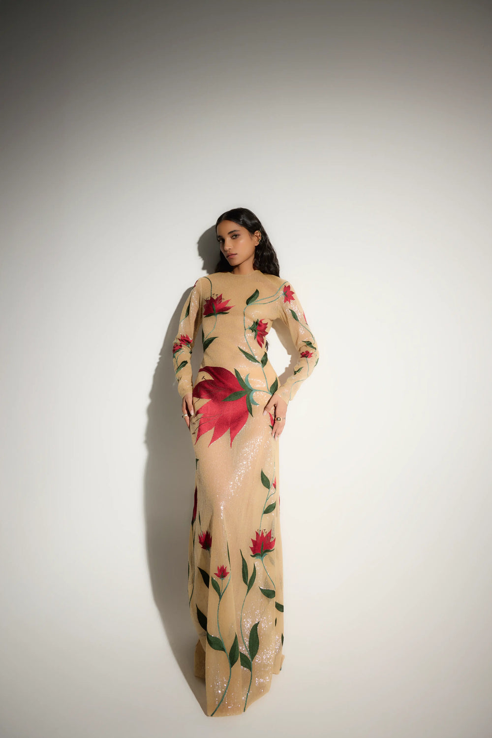 Embroidered Semi-Sheer Gown in Beige